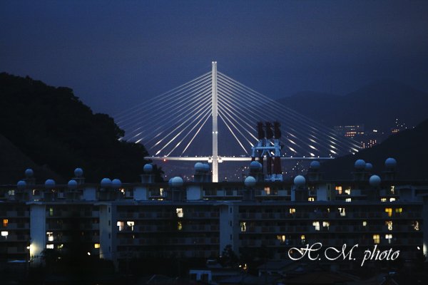2010_女神大橋の夜_01.jpg