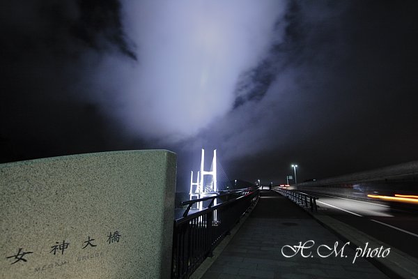 2010_女神大橋の夜_02.jpg